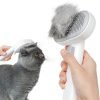 Cat Brush amazon code