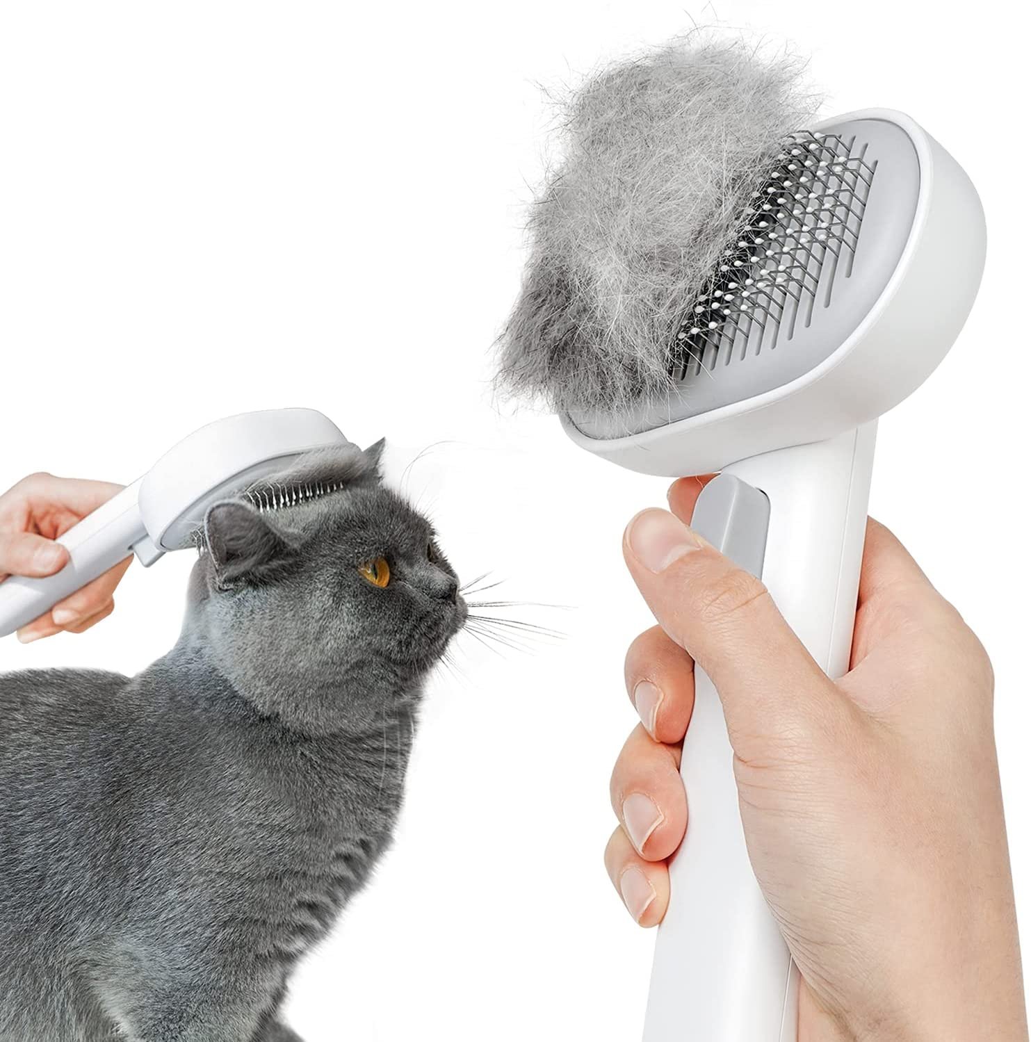 Cat Brush Cat Brush amazon code