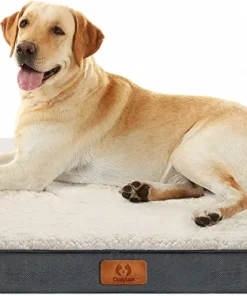 Orthopedic Foam Dog Bed amazon