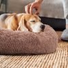 dog bed amazon promo code