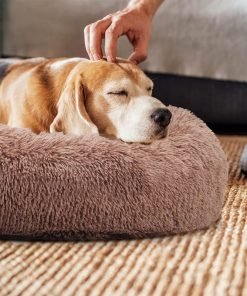 dog bed amazon promo code